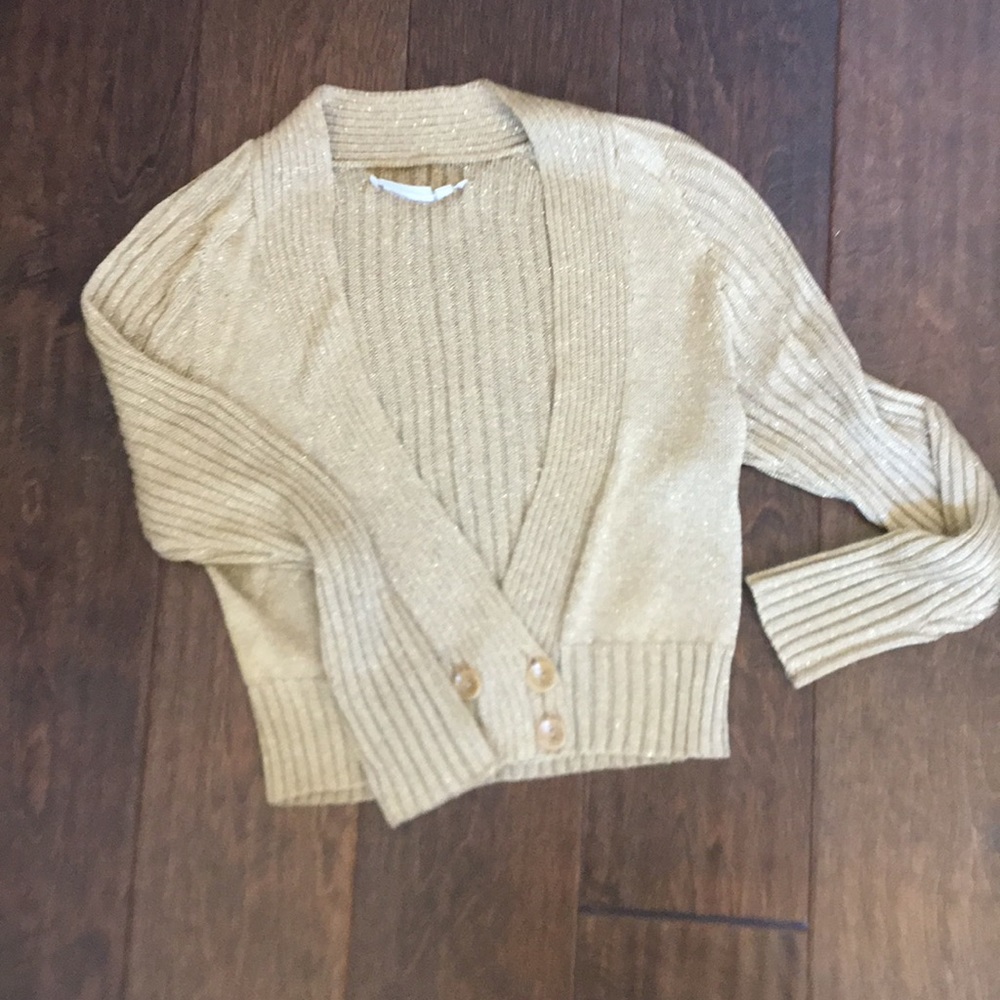 Sweater / bolero like top.